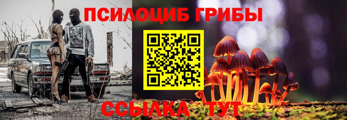 Псилоцибиновые грибы мухоморы Орёл